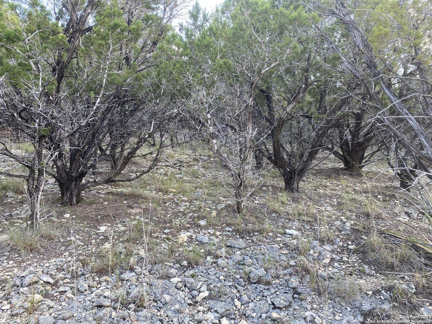 0.21 acres in Bandera County featured view