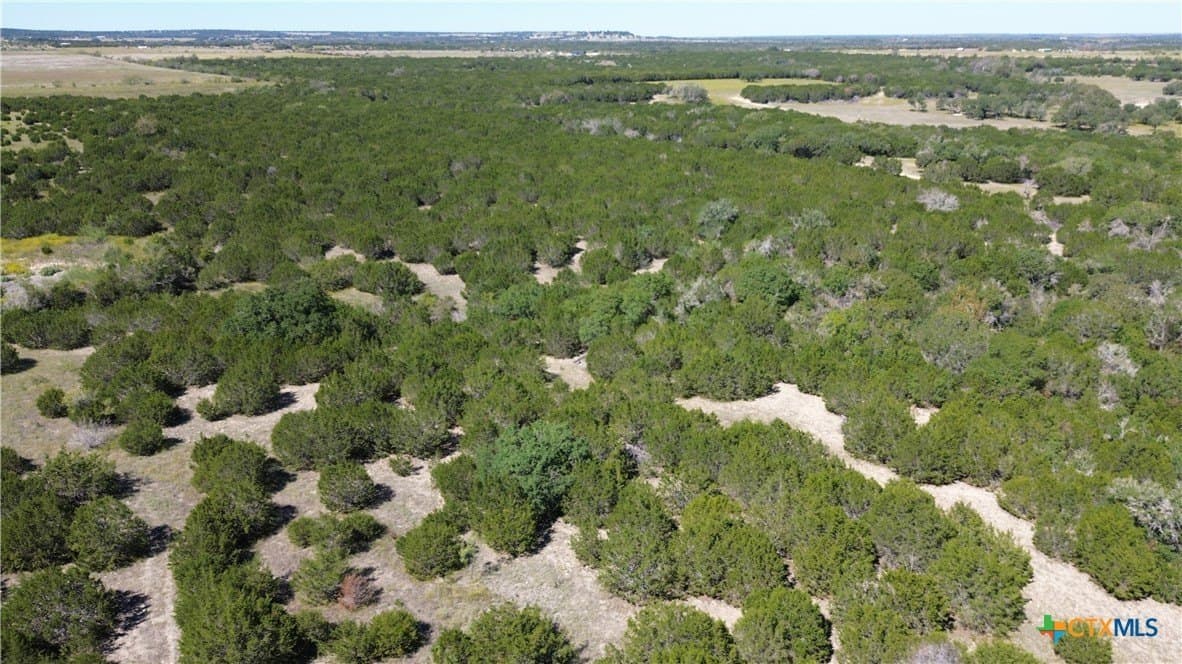 312 acres in Coryell County featured view