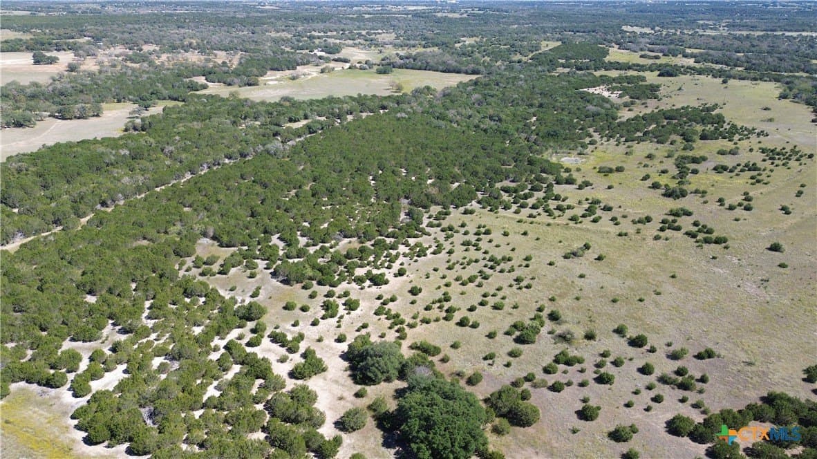 312 acres in Coryell County - photo 14