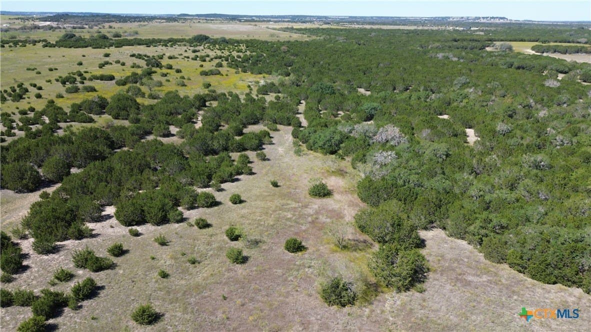312 acres in Coryell County gallery image 4