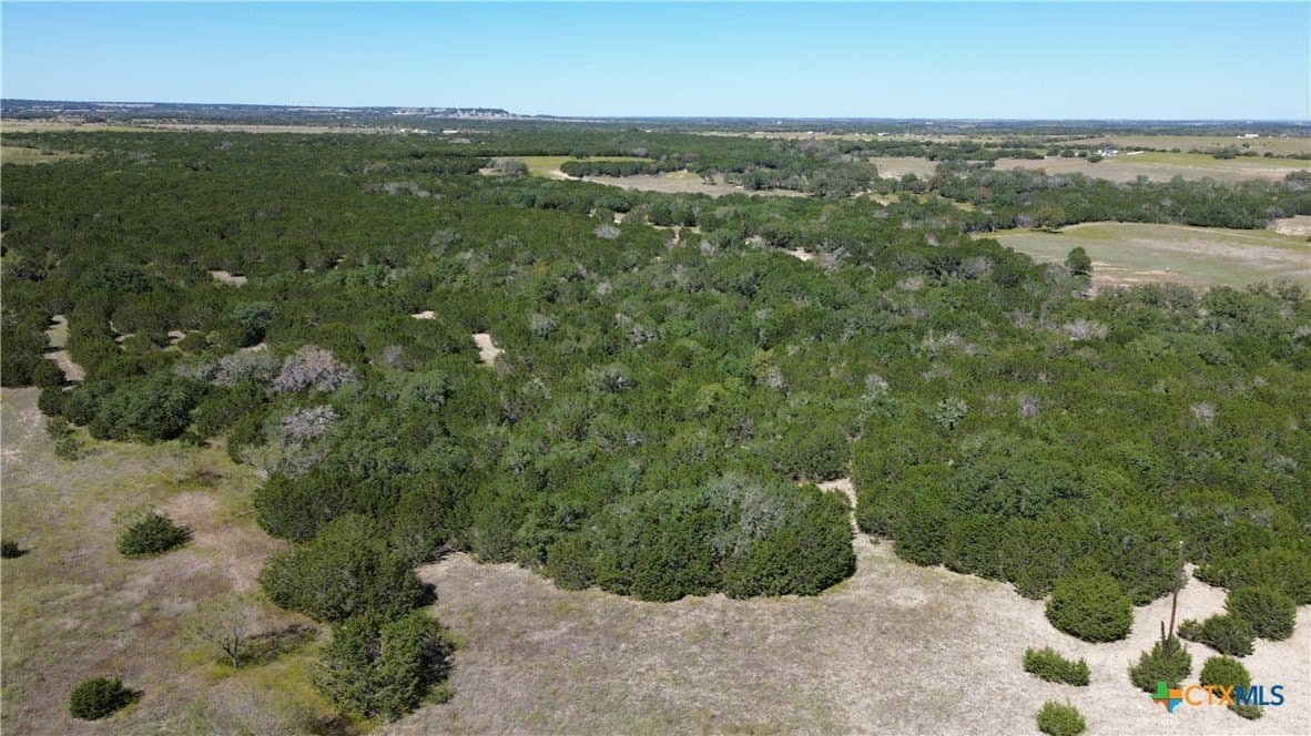 312 acres in Coryell County gallery image 3