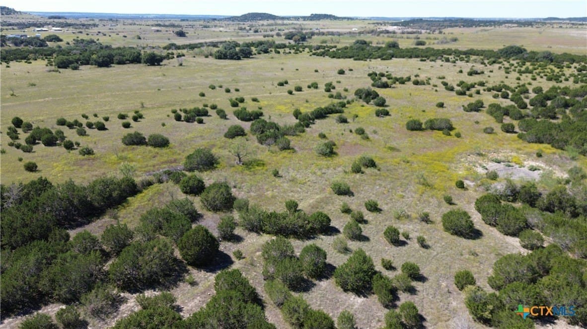 312 acres in Coryell County - photo 6