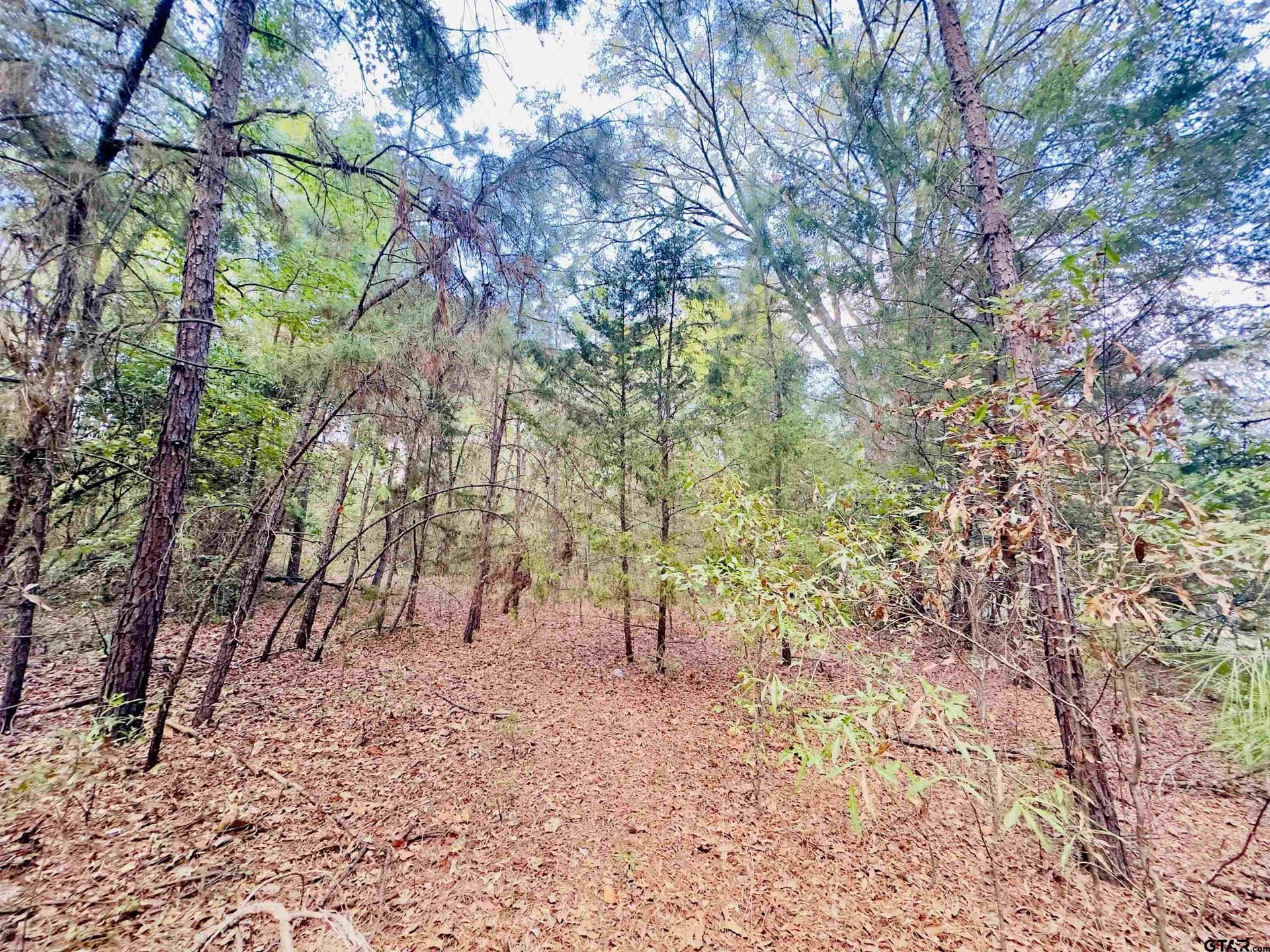 1 acres in Upshur County - photo 15