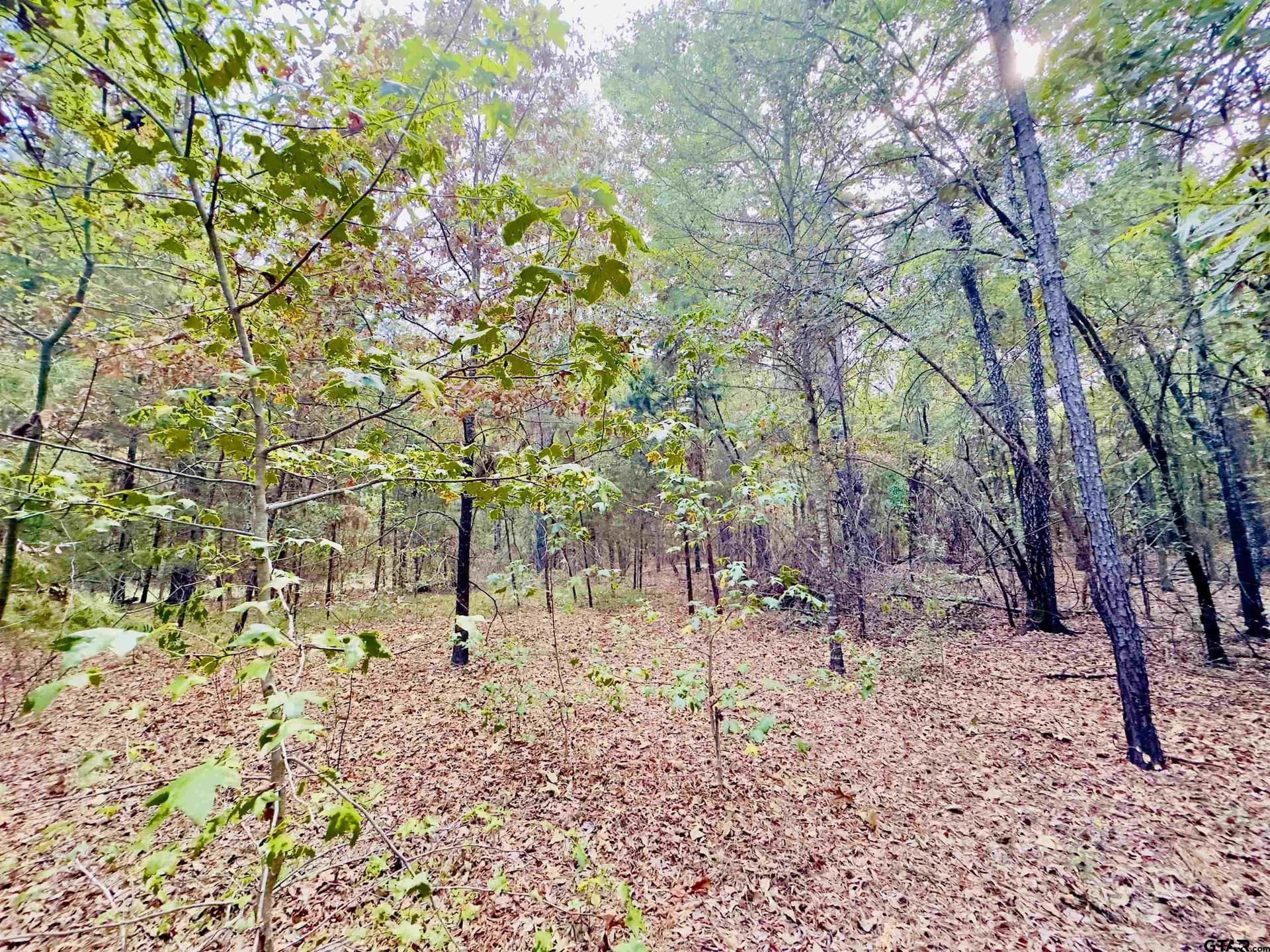 1 acres in Upshur County - photo 12