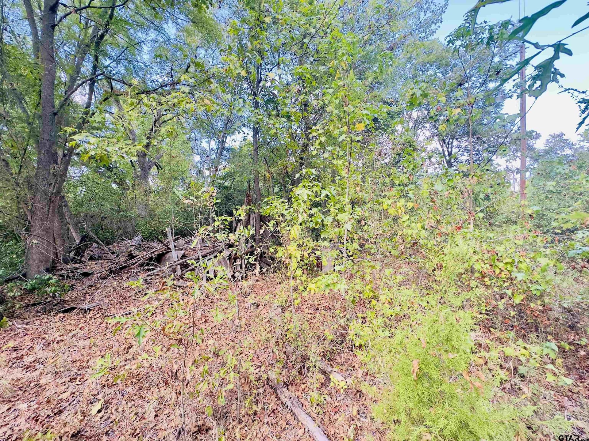 1 acres in Upshur County - photo 2
