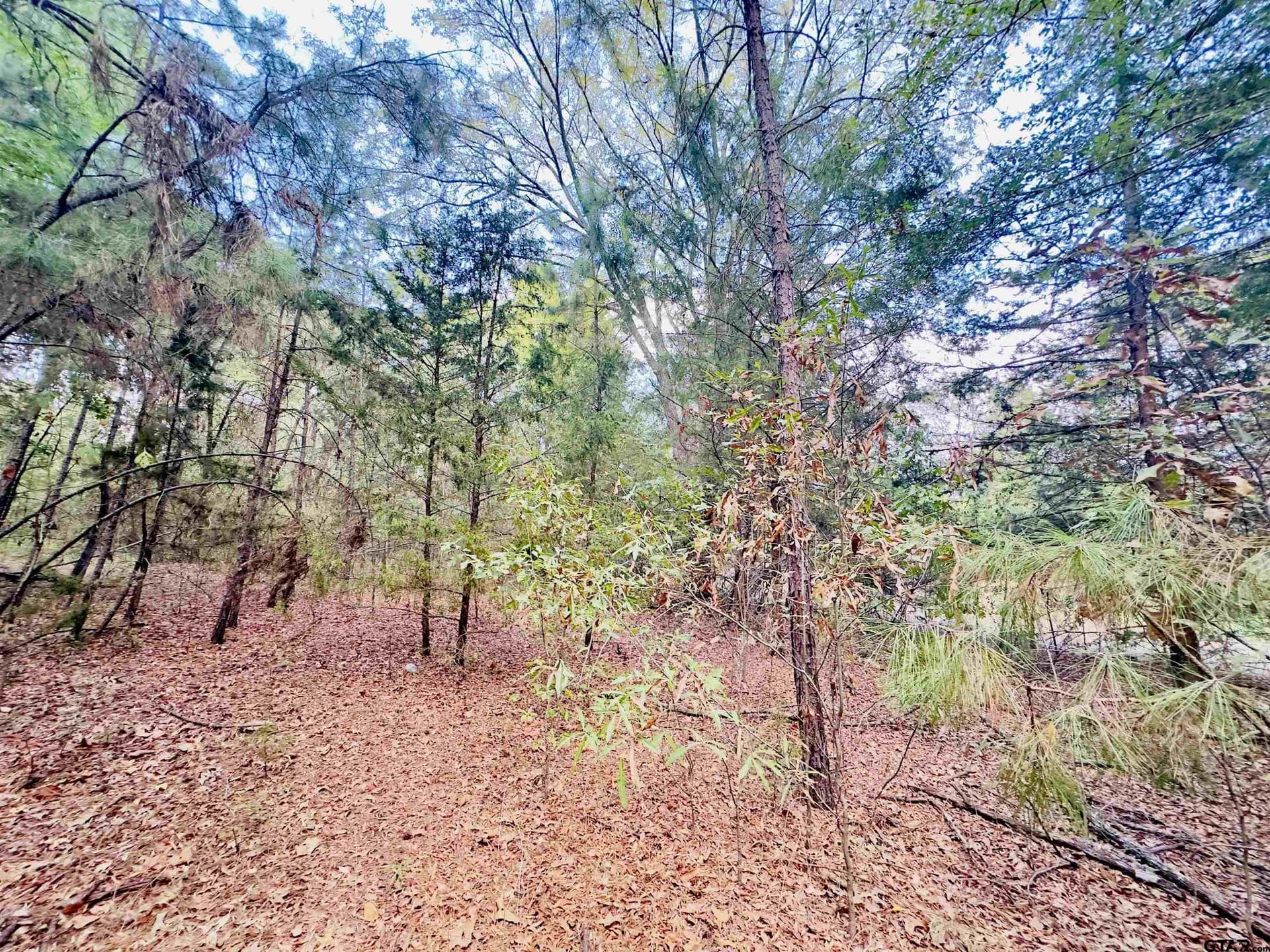 1 acres in Upshur County - photo 14