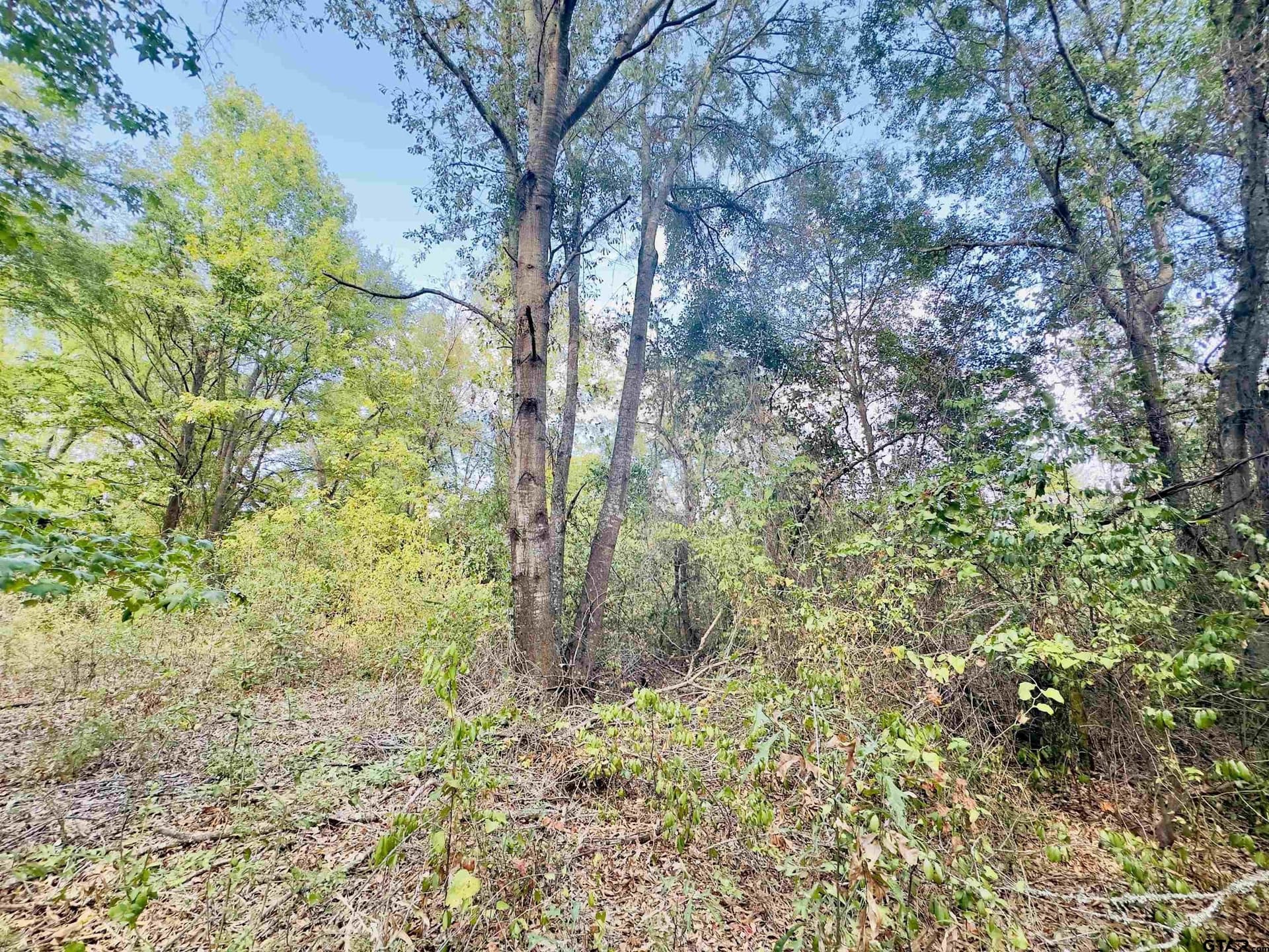 1 acres in Upshur County - photo 16