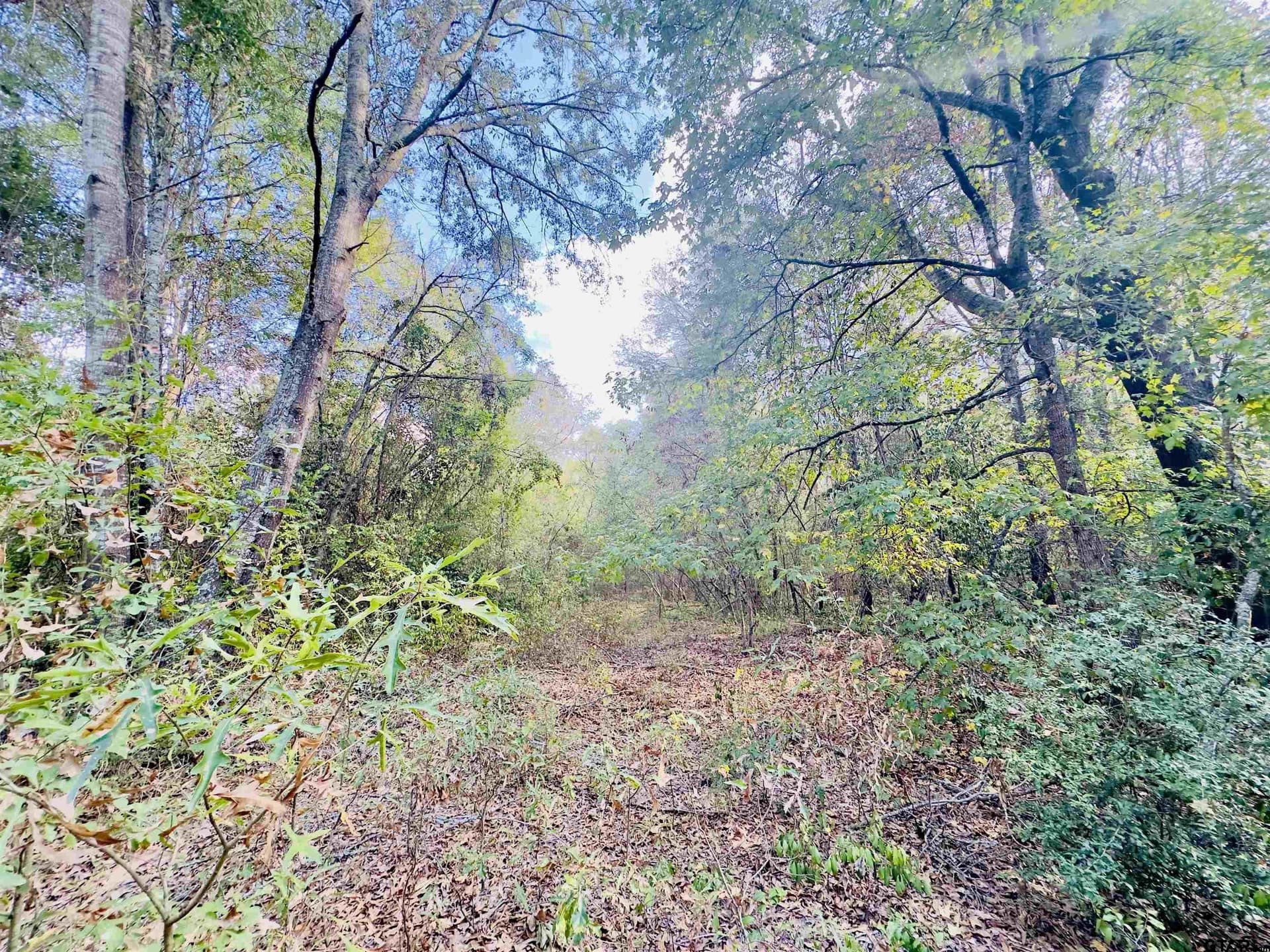 1 acres in Upshur County - photo 19