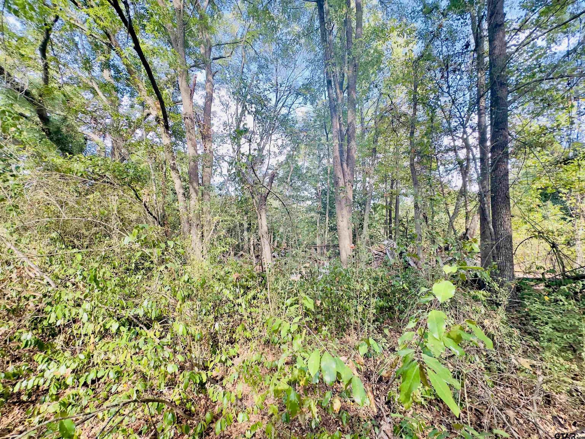1 acres in Upshur County - photo 23