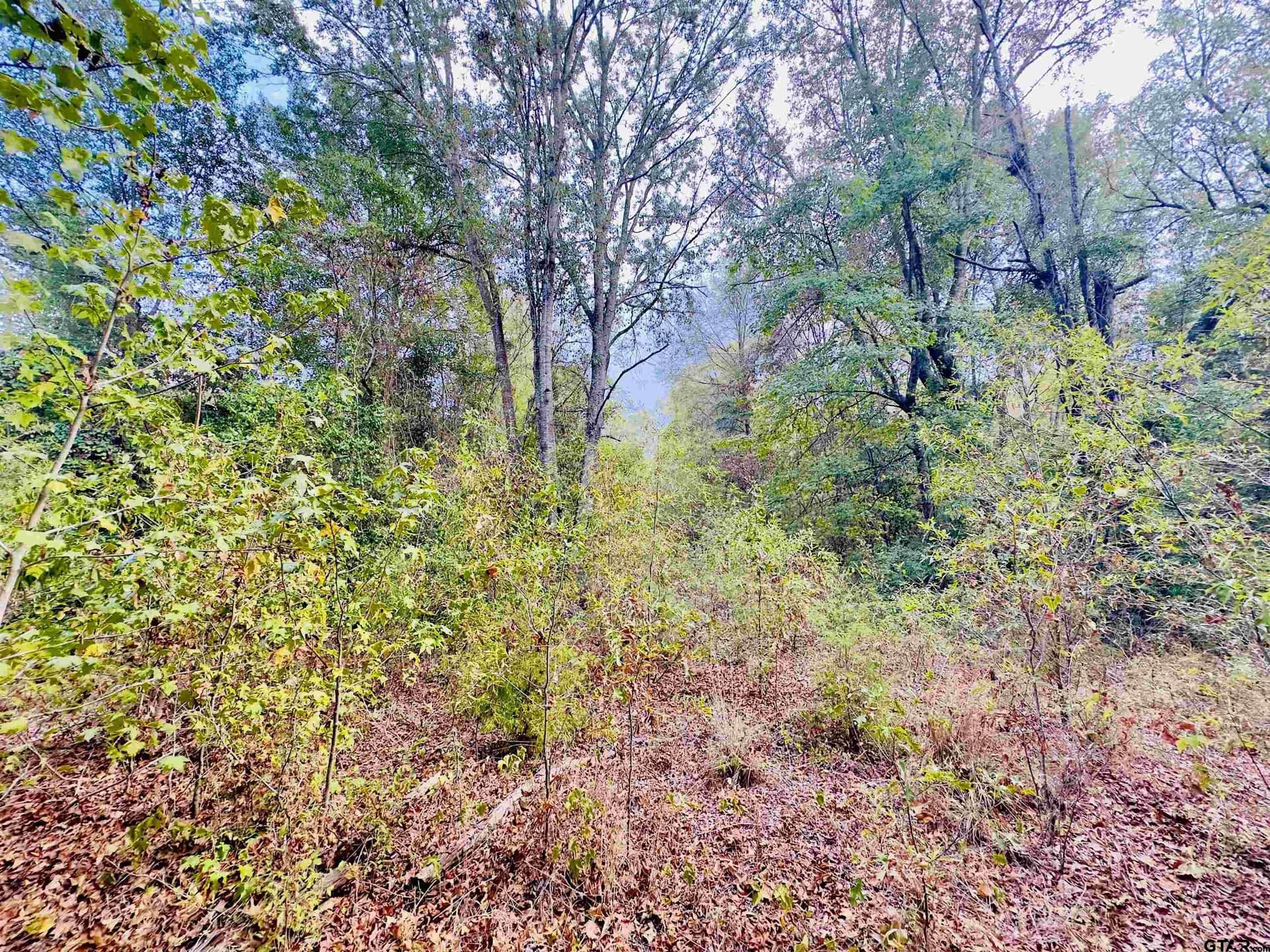 1 acres in Upshur County