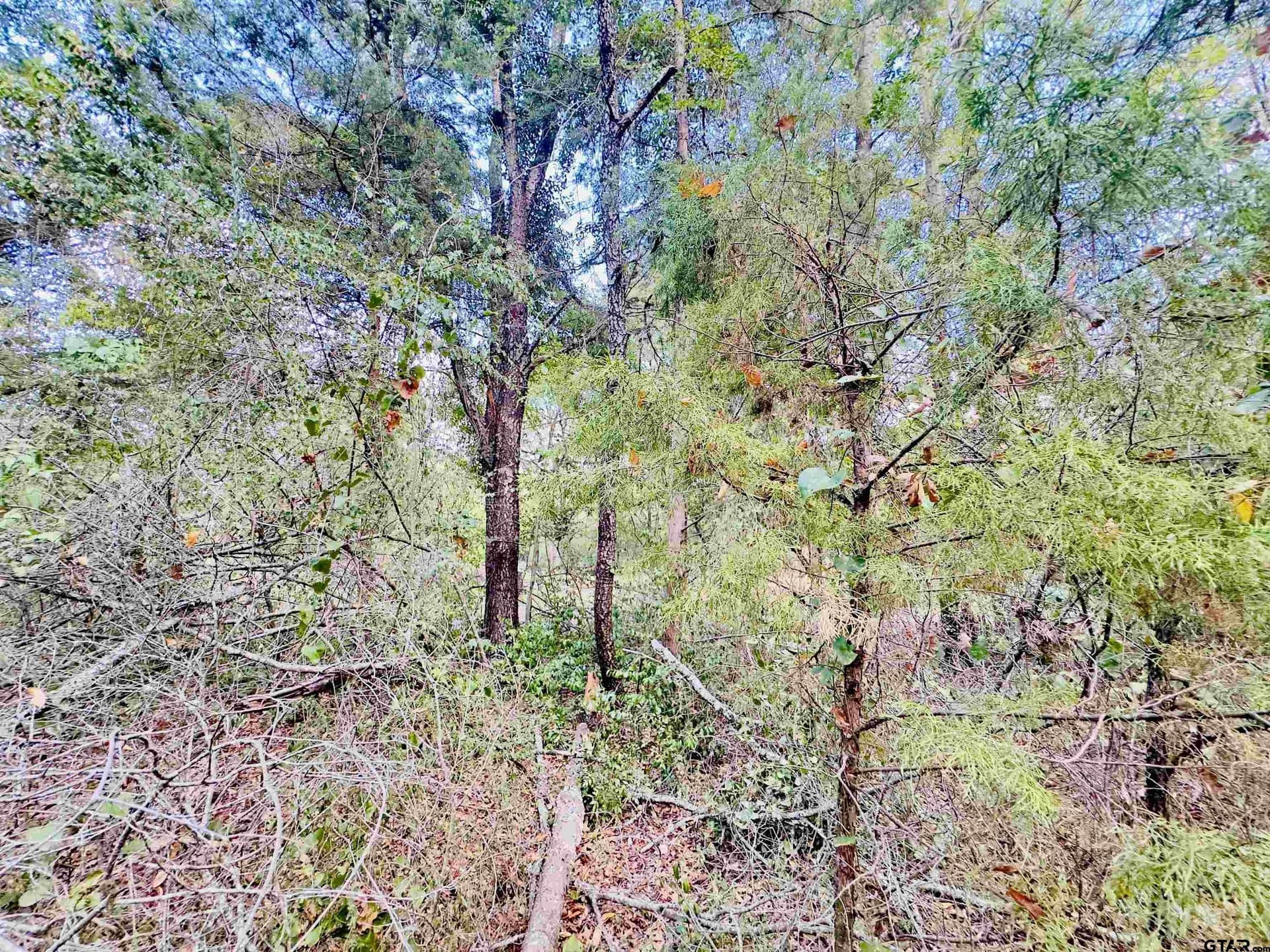 1 acres in Upshur County - photo 5