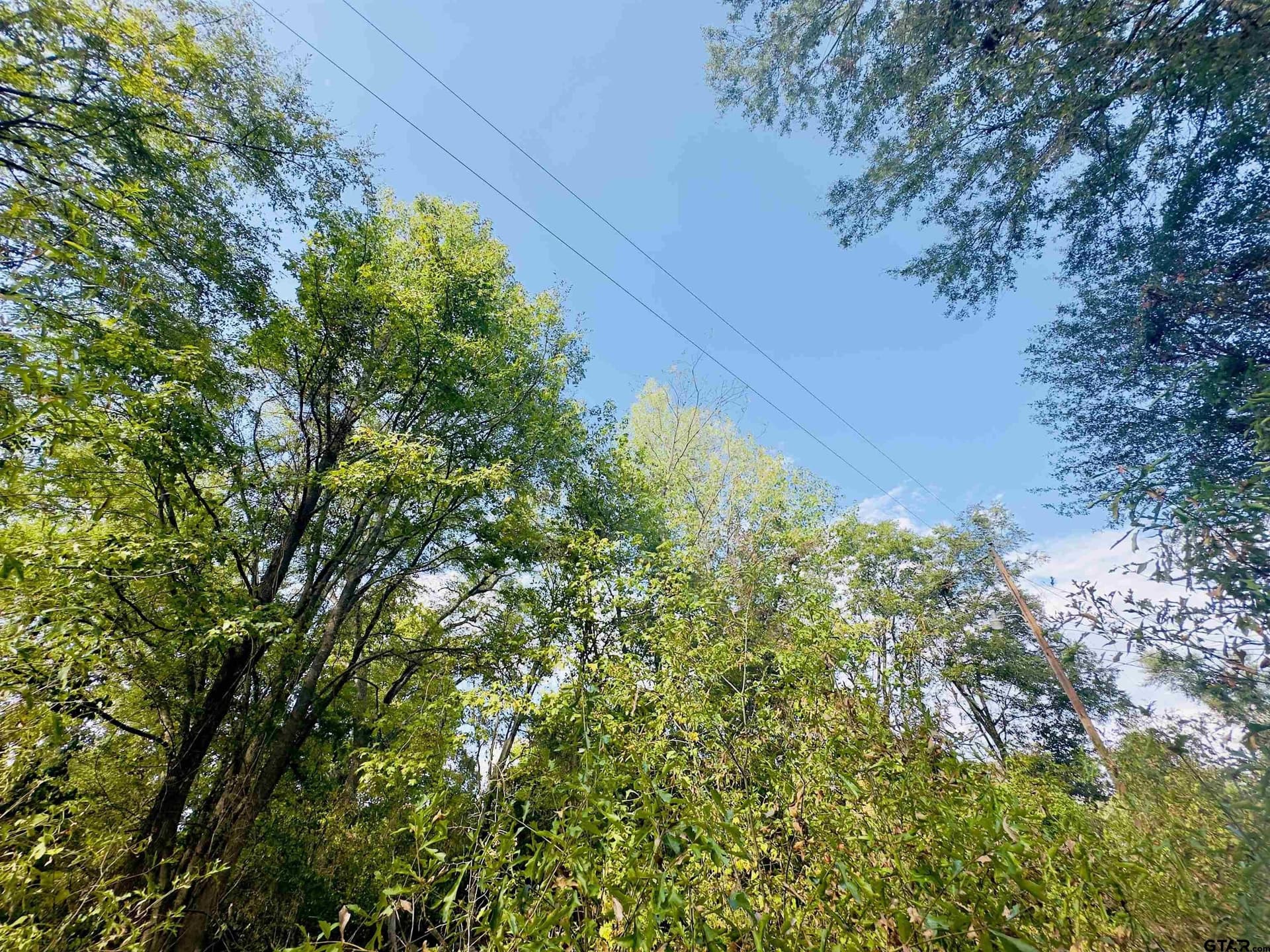 1 acres in Upshur County - photo 20