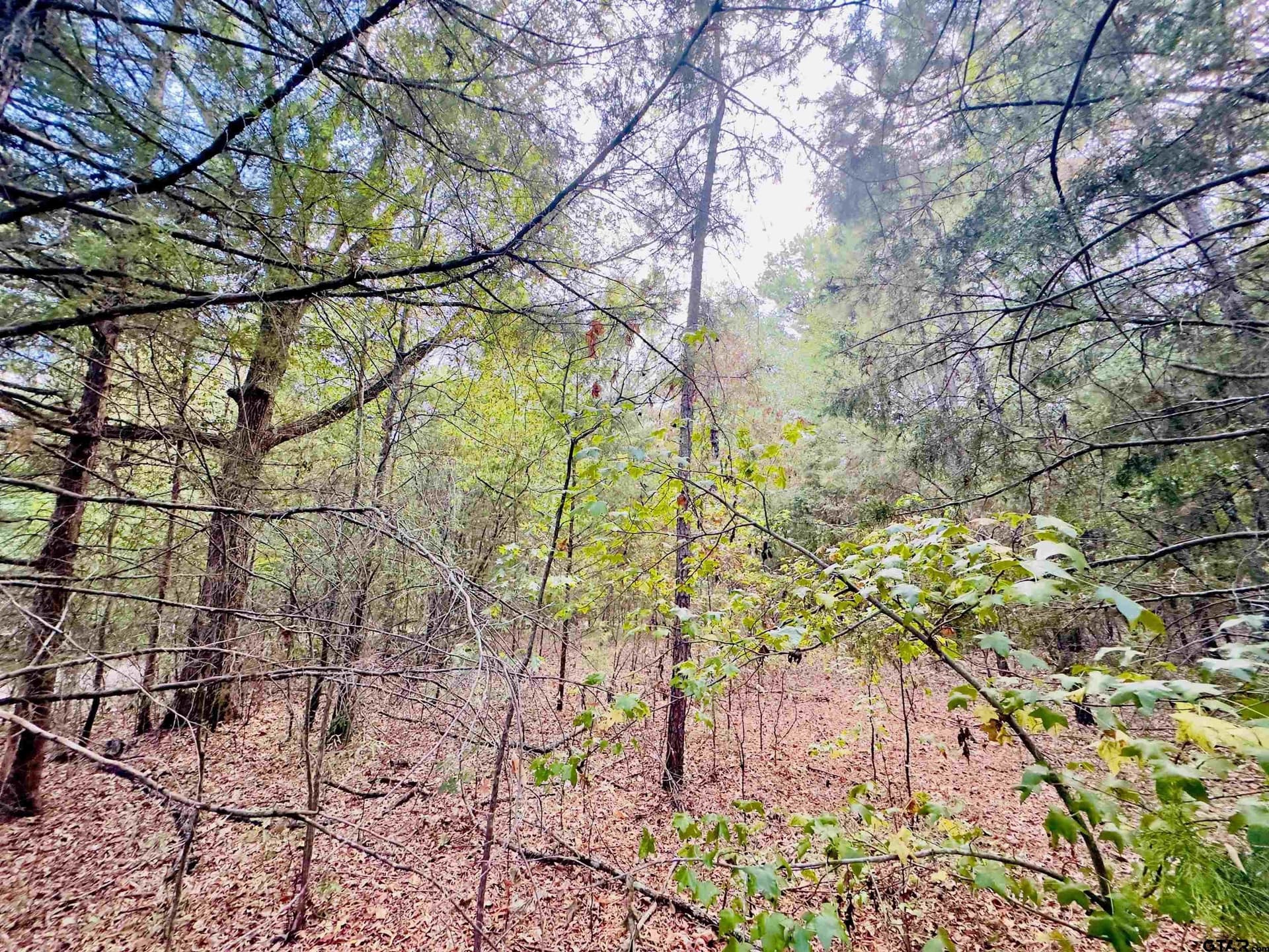 1 acres in Upshur County - photo 11