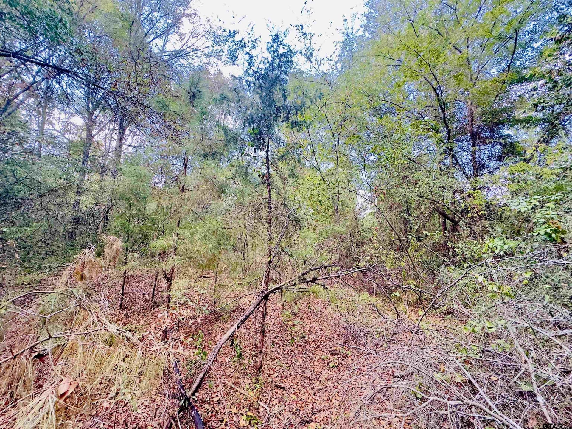 1 acres in Upshur County - photo 4