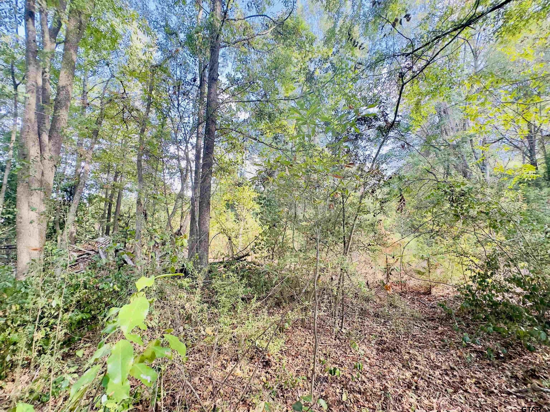 1 acres in Upshur County - photo 24
