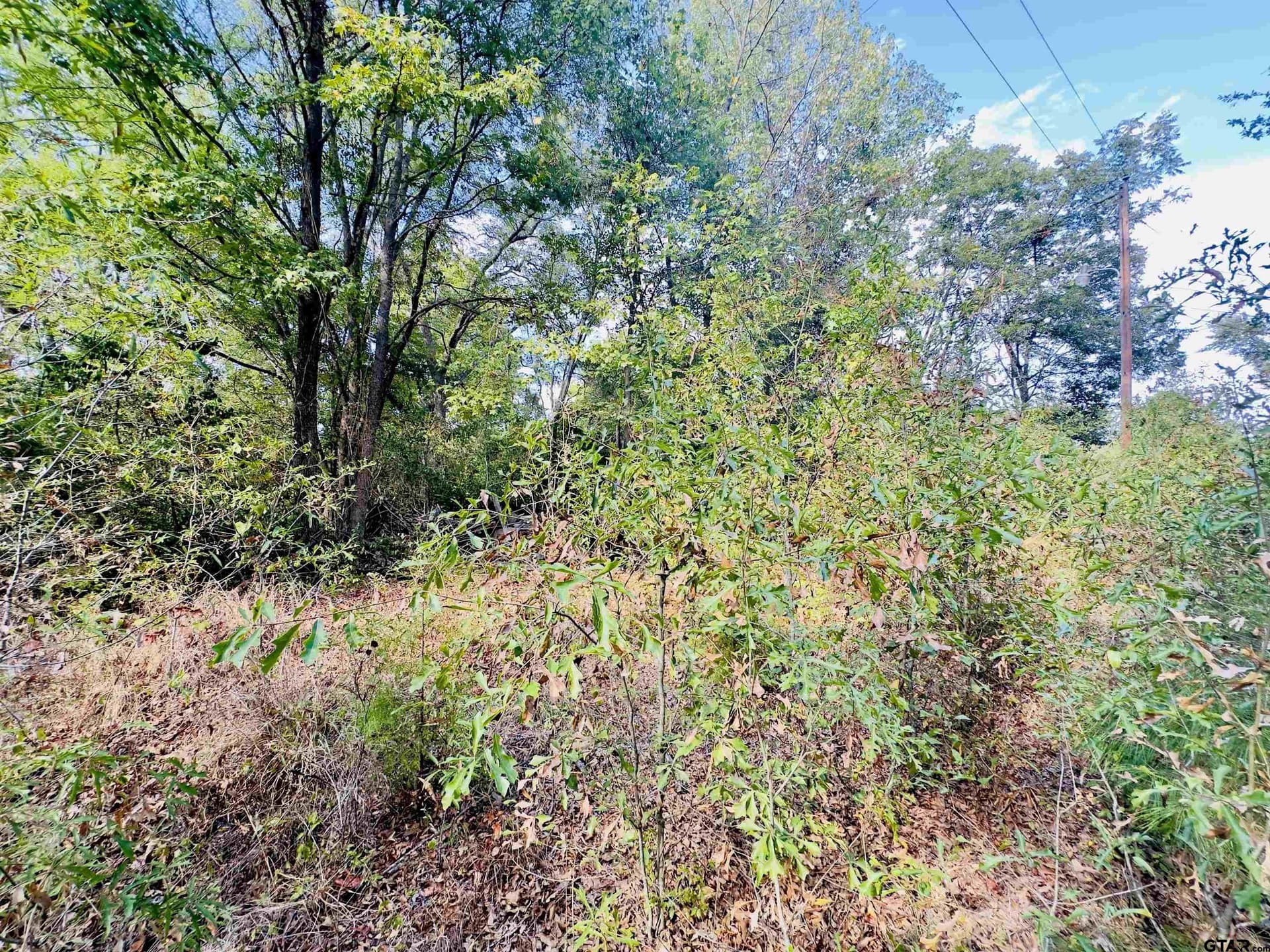 1 acres in Upshur County - photo 22