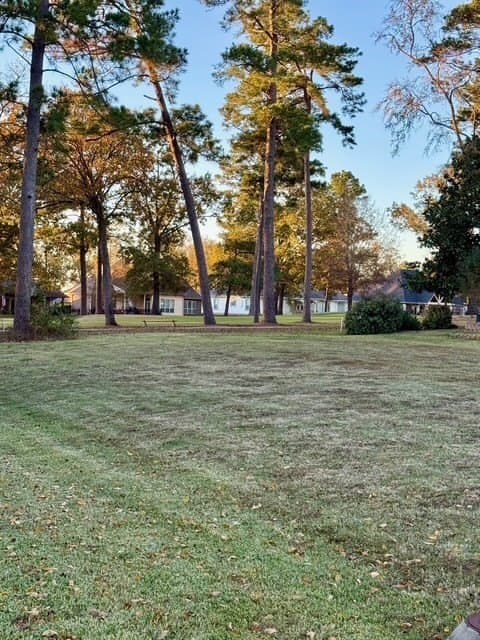0.27 acres in Texas County gallery image 3