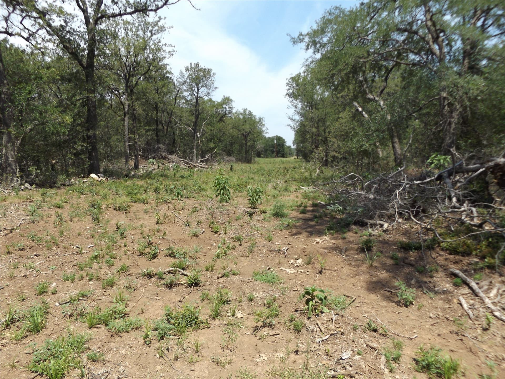 34.1 acres in Young County - photo 4
