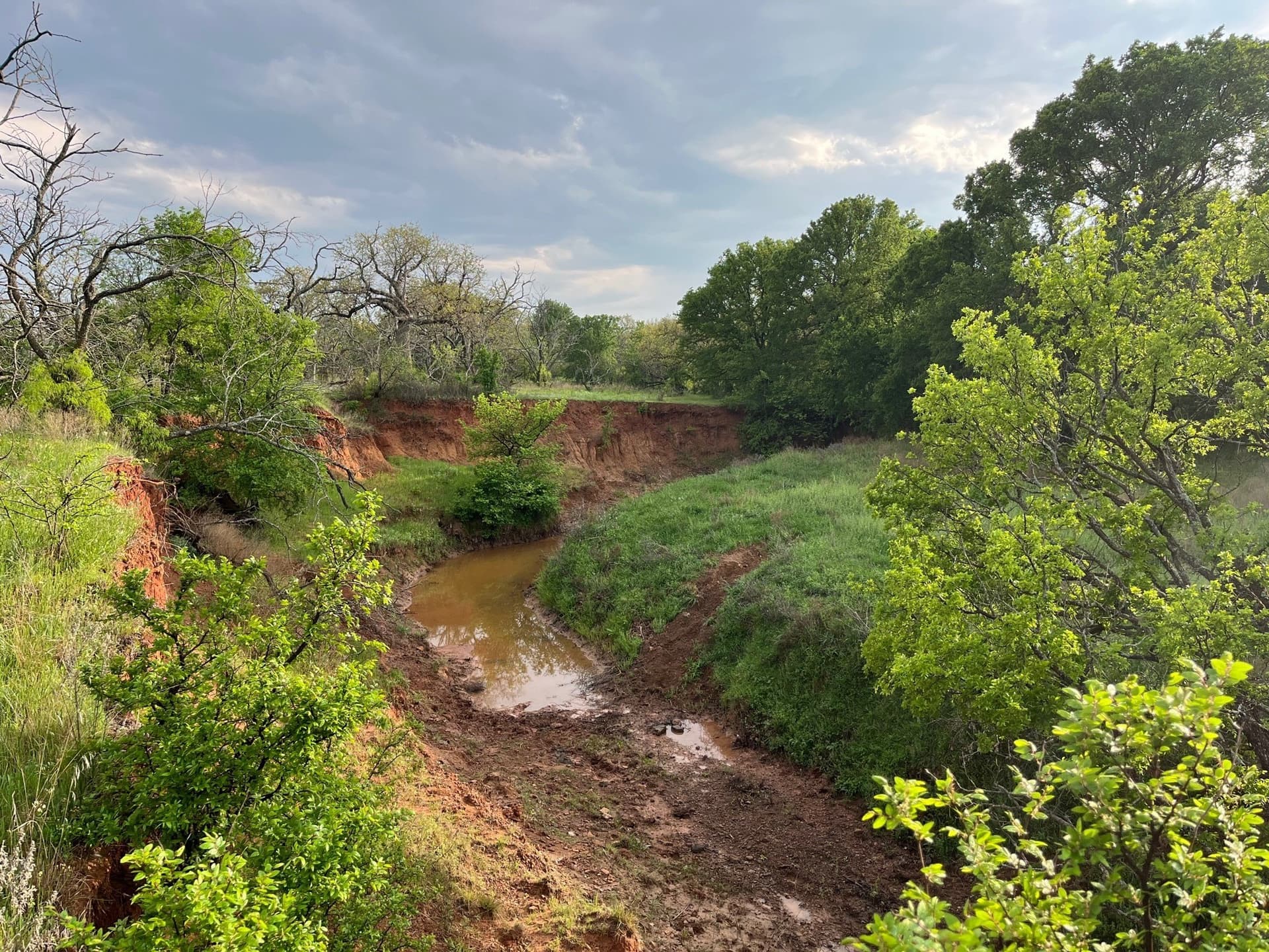 34.1 acres in Young County