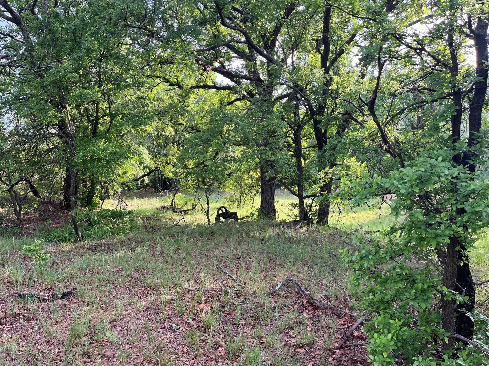 34.1 acres in Young County - photo 5