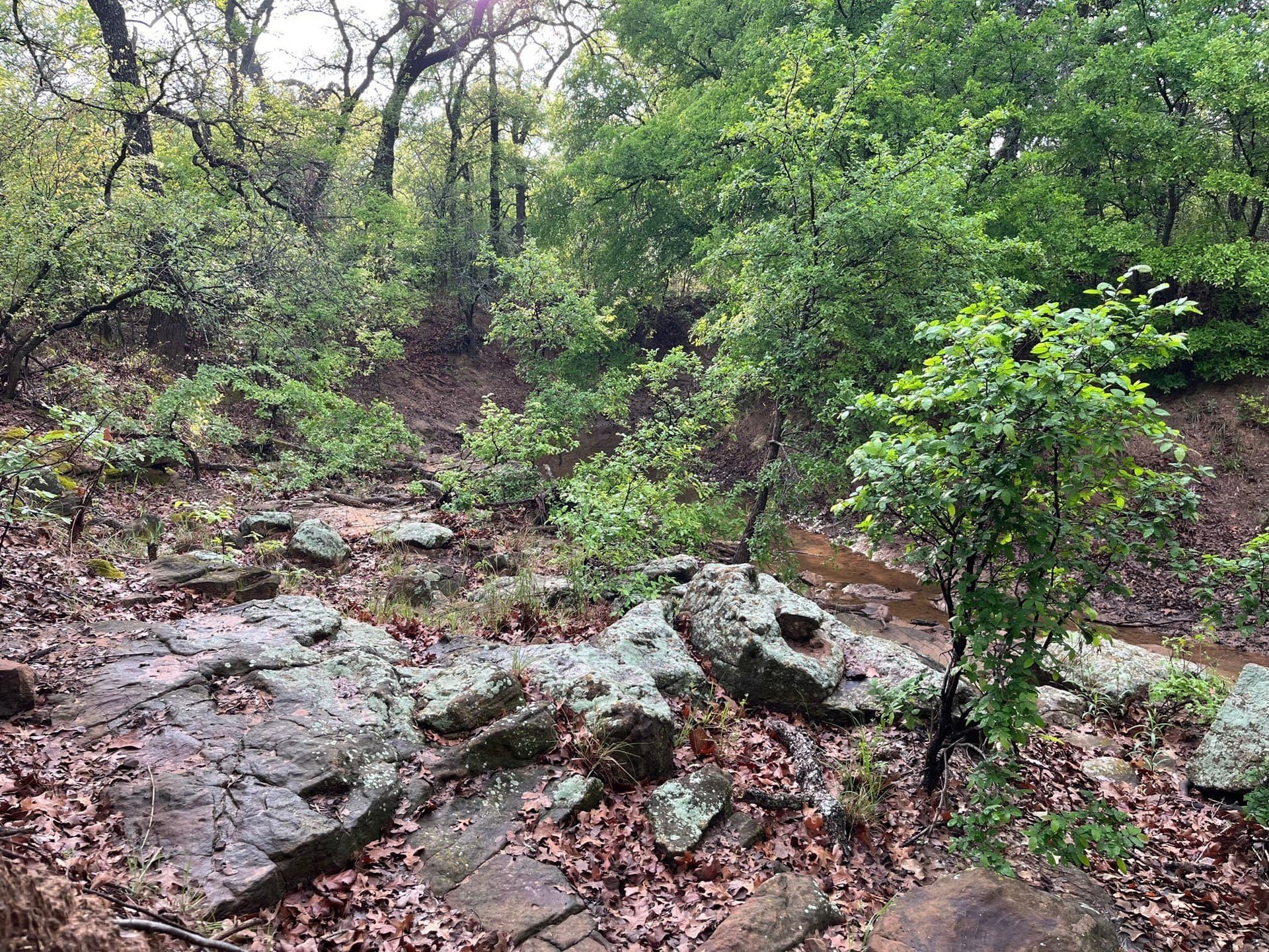 34.1 acres in Young County - photo 2