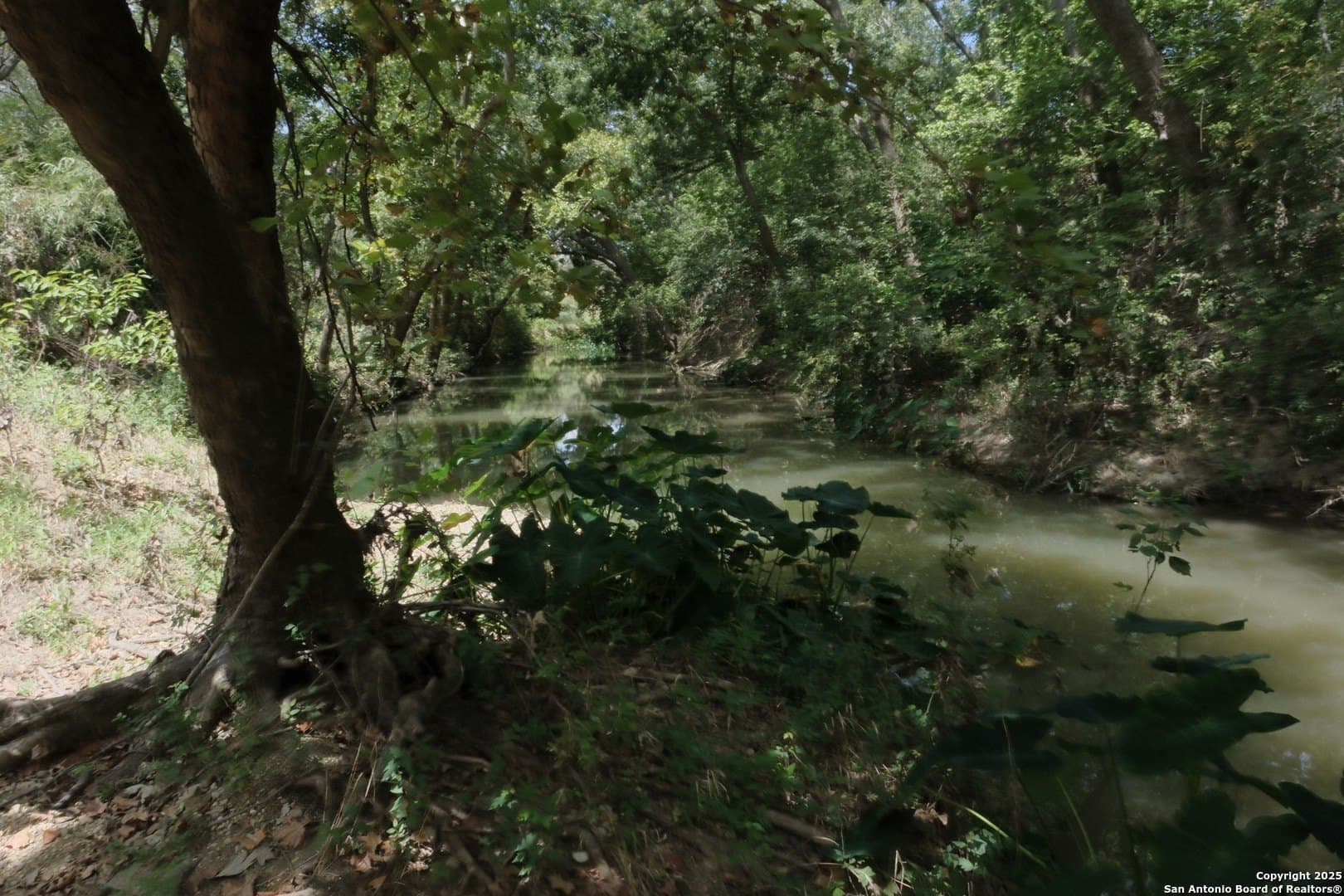 25.7 acres in Bexar County gallery image 3