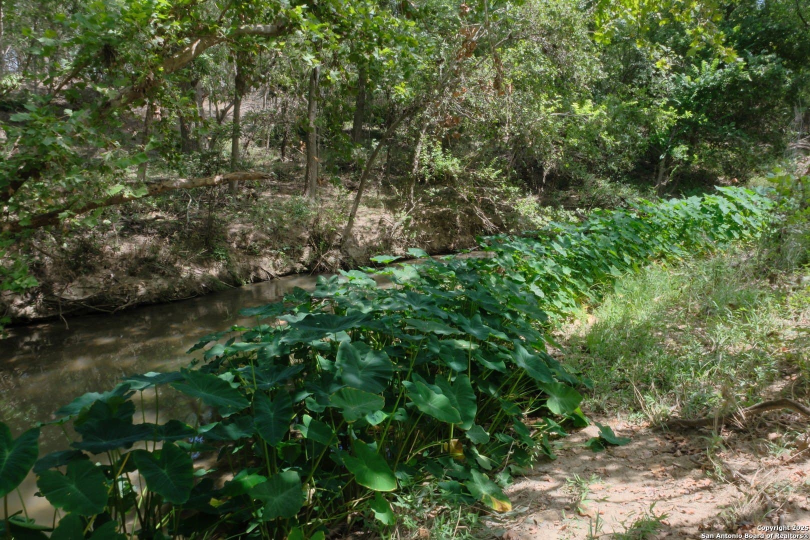 25.7 acres in Bexar County gallery image 2