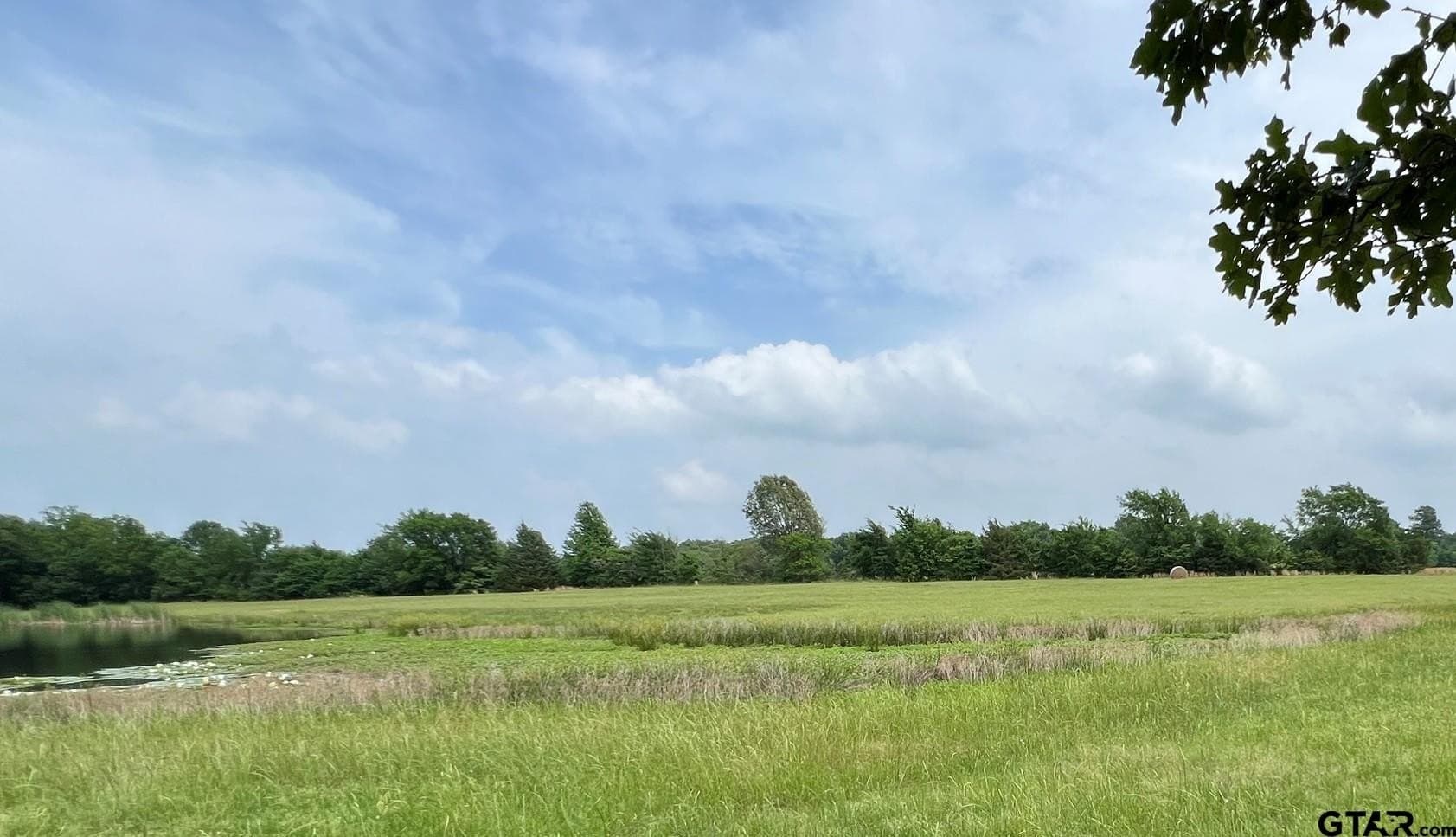 9.65 acres in Wood County gallery image 4