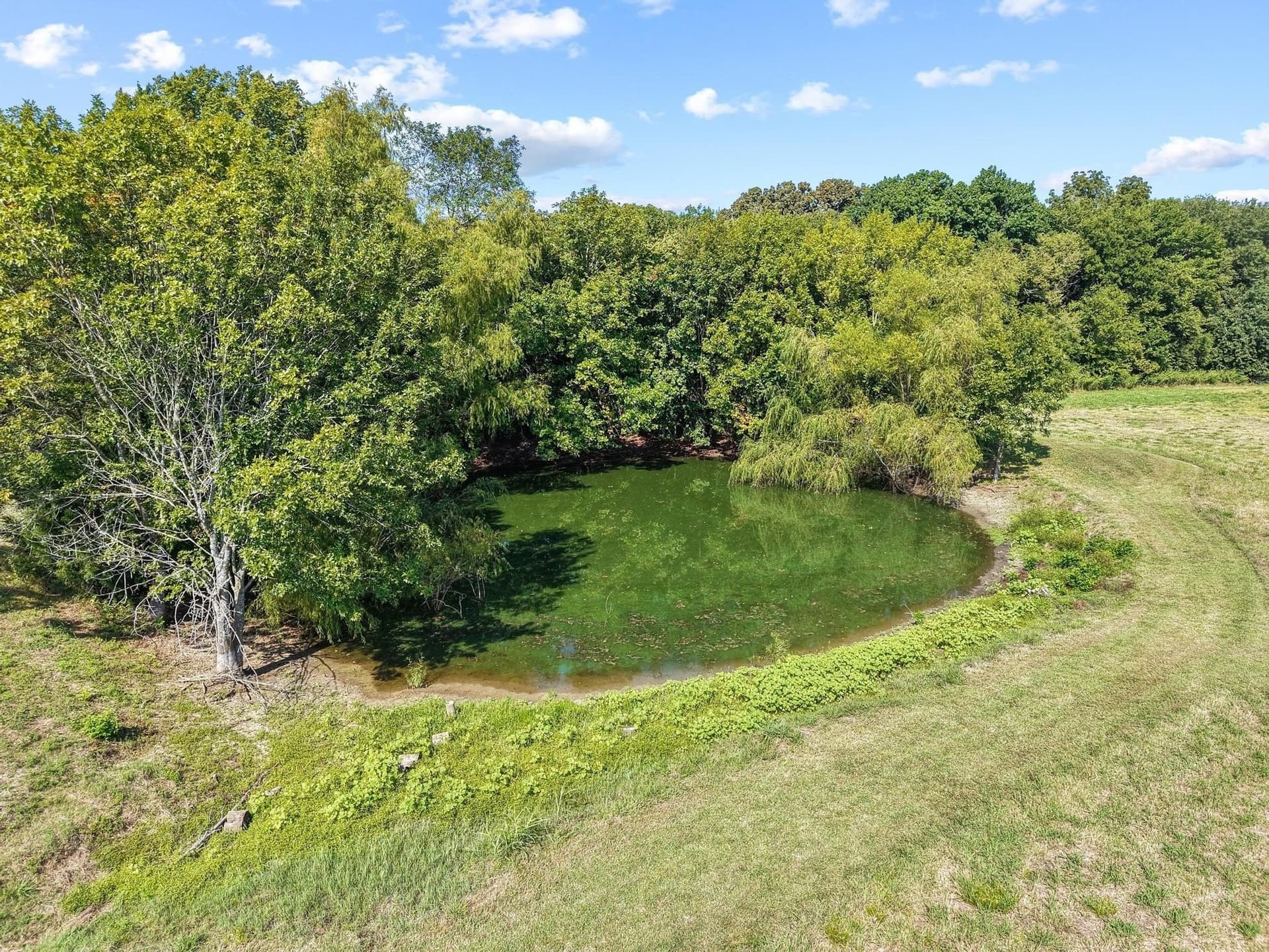 28.8 acres in Fannin County - photo 30