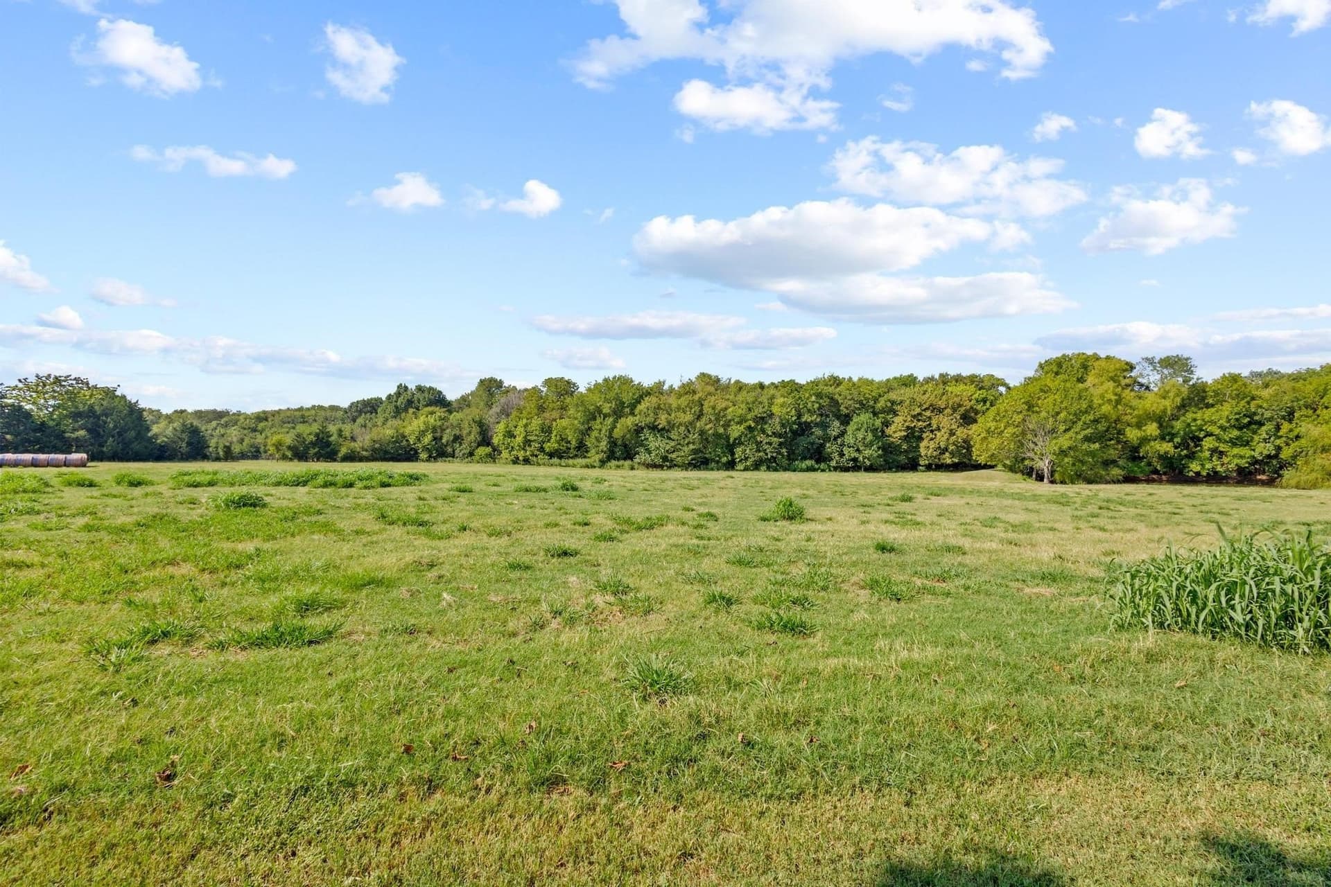 28.8 acres in Fannin County - photo 27