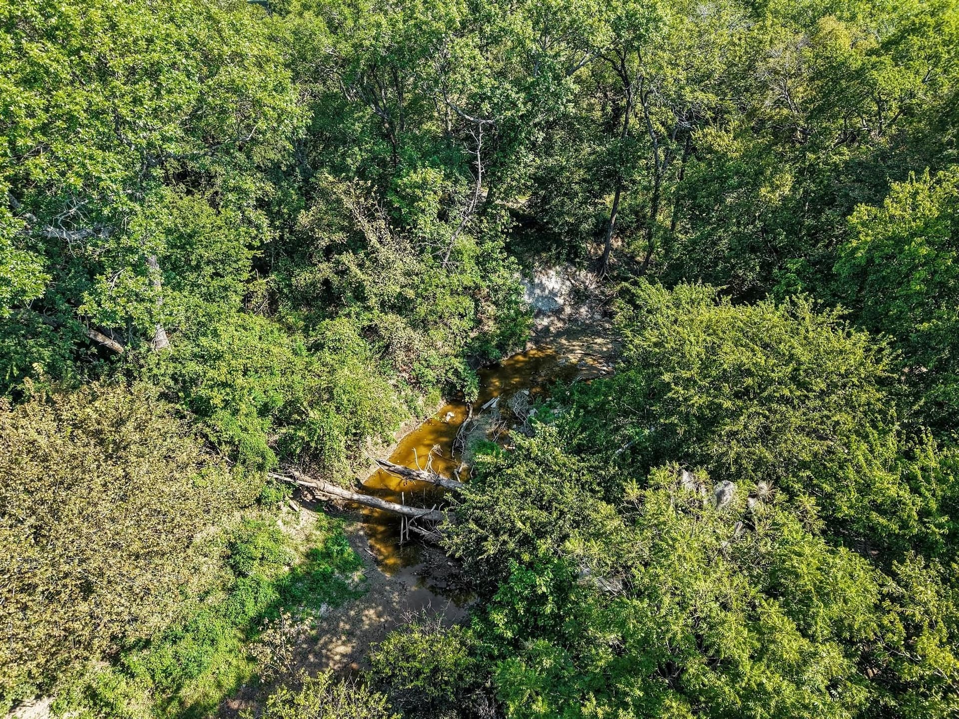 28.8 acres in Fannin County - photo 35