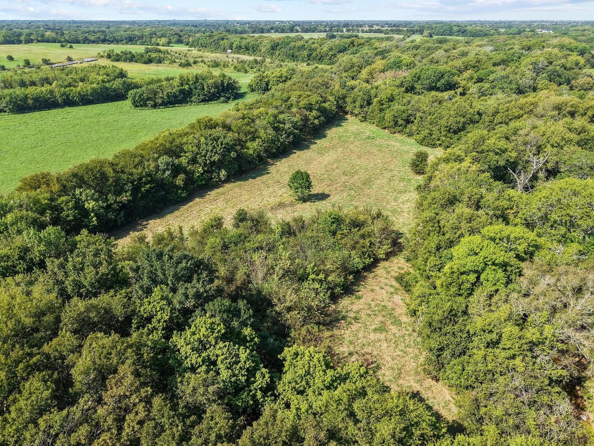 28.8 acres in Fannin County - photo 34