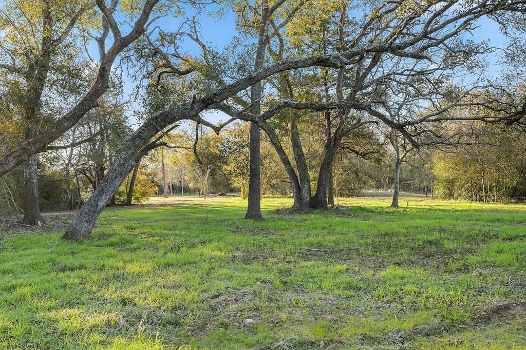 15 acres in Colorado County - photo 2