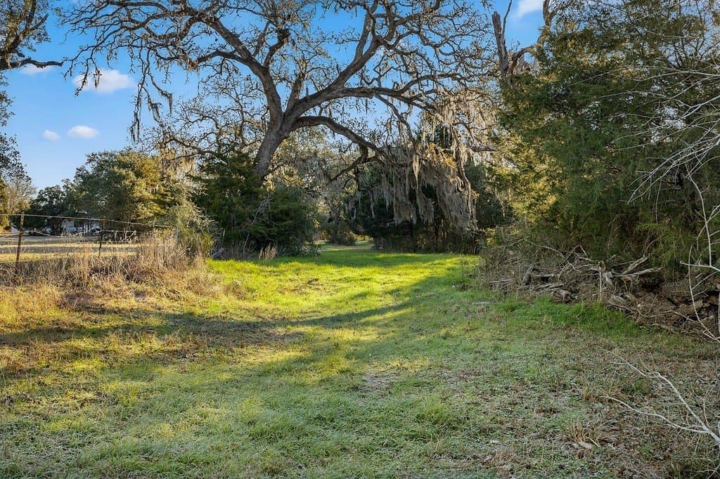 15 acres in Colorado County - photo 5
