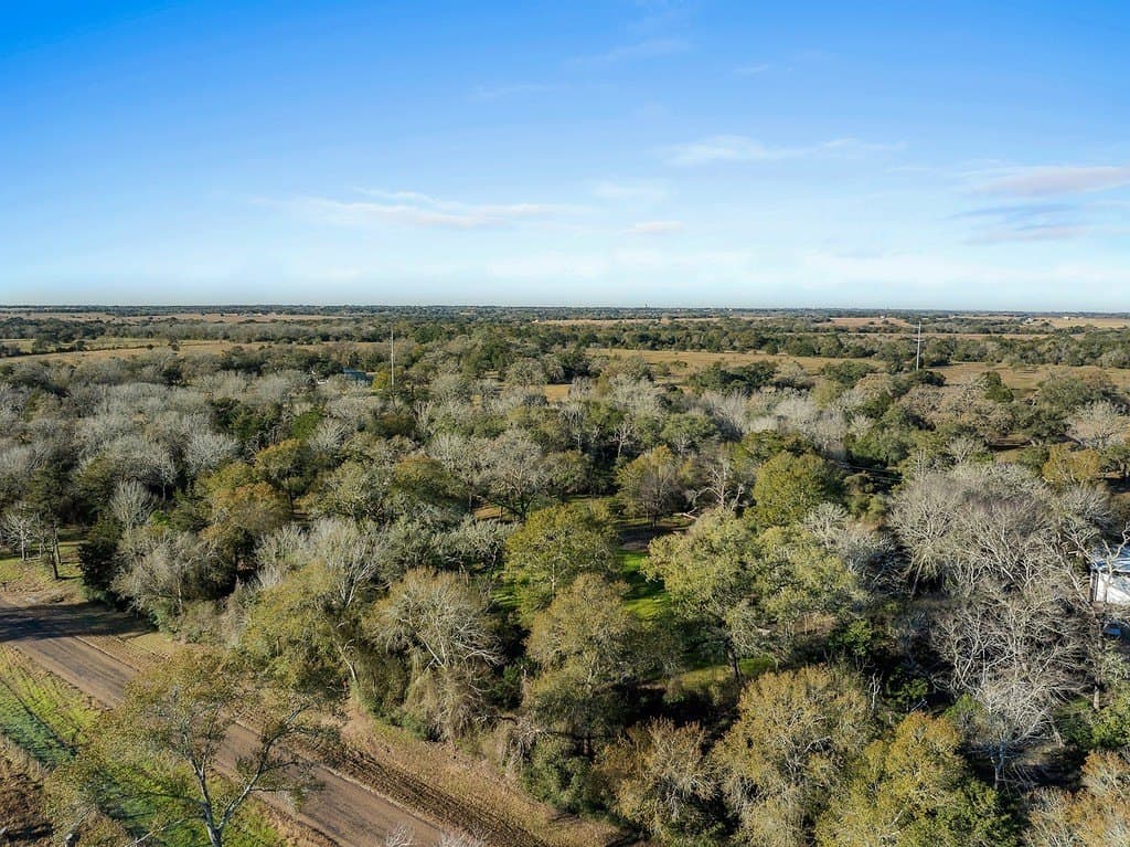 15 acres in Colorado County - photo 16