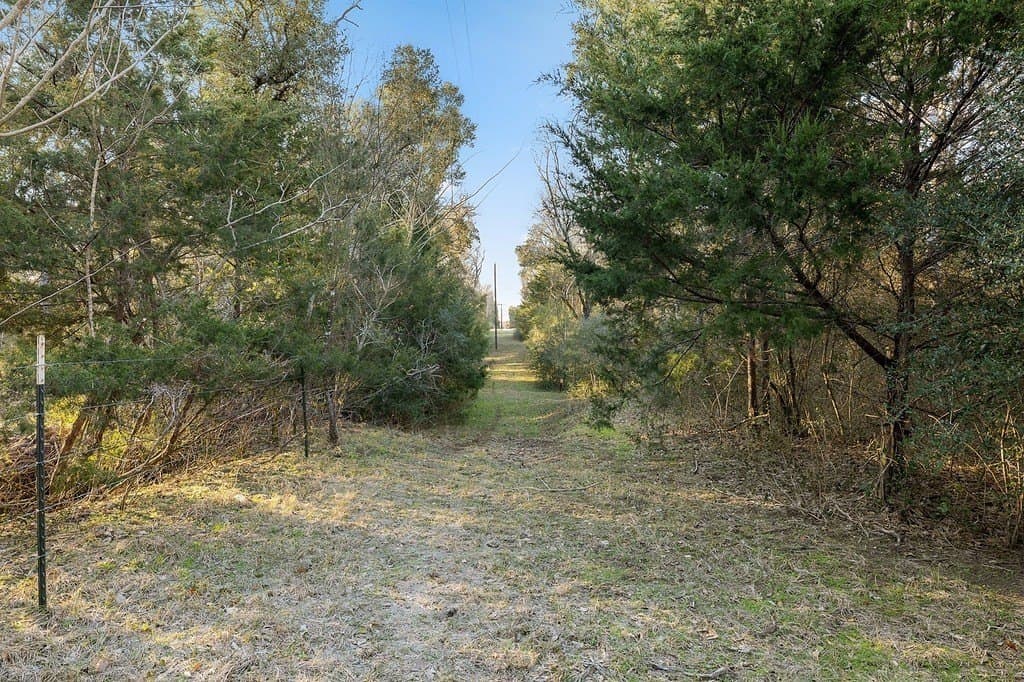 15 acres in Colorado County - photo 13