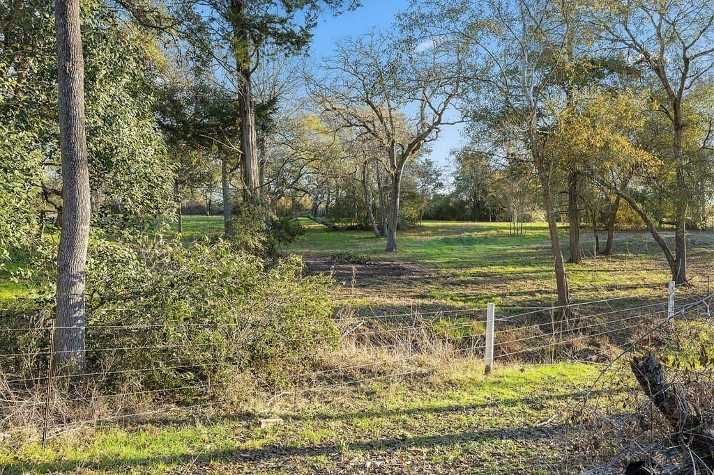 15 acres in Colorado County - photo 3