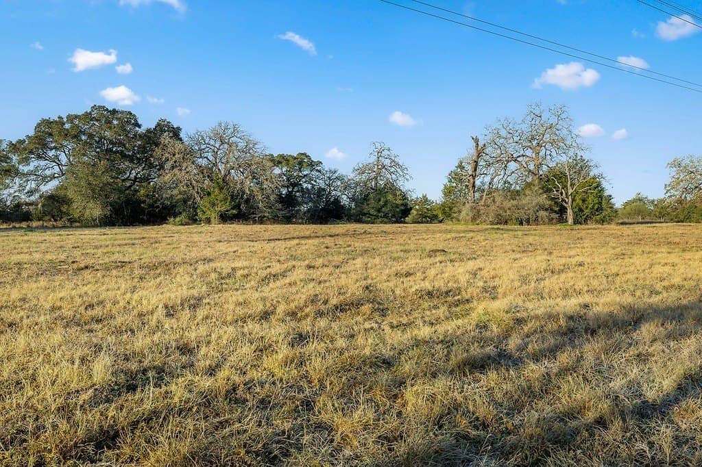 15 acres in Colorado County - photo 9