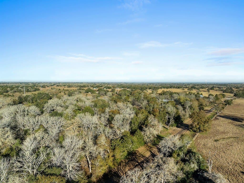 15 acres in Colorado County - photo 15
