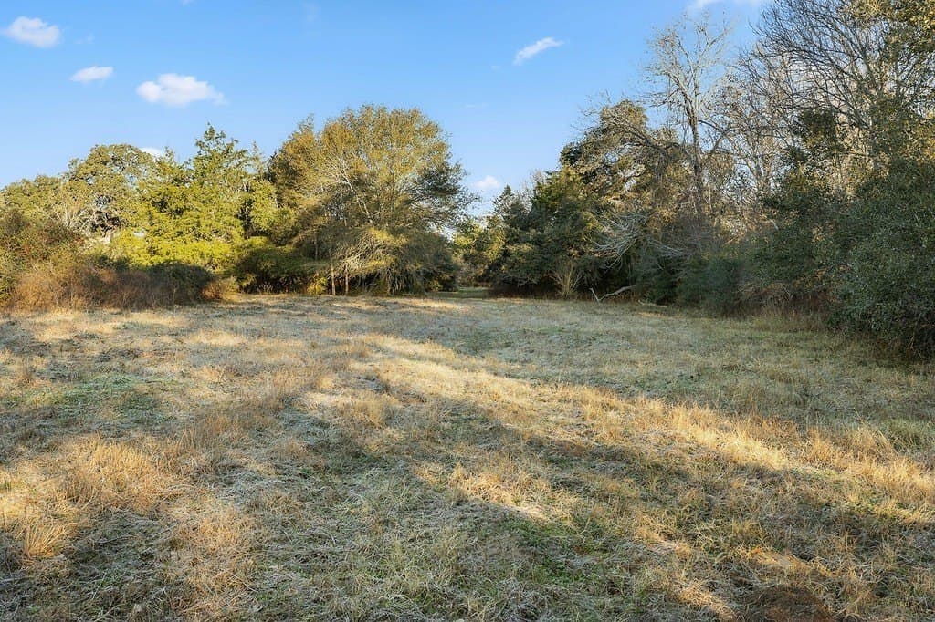 15 acres in Colorado County - photo 12
