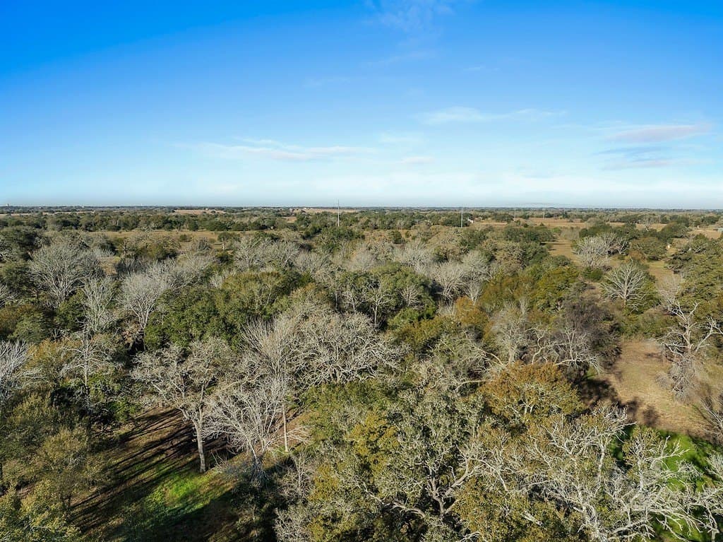 15 acres in Colorado County - photo 18