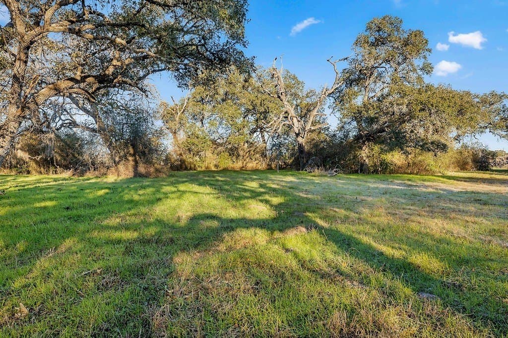 15 acres in Colorado County - photo 7