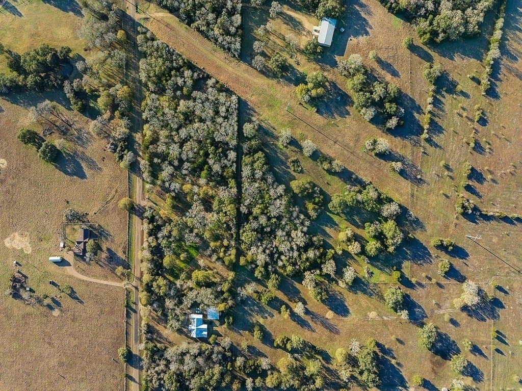 15 acres in Colorado County - photo 21