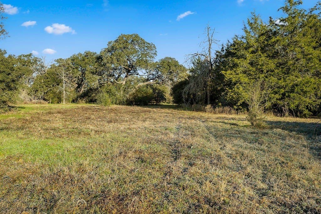 15 acres in Colorado County - photo 11