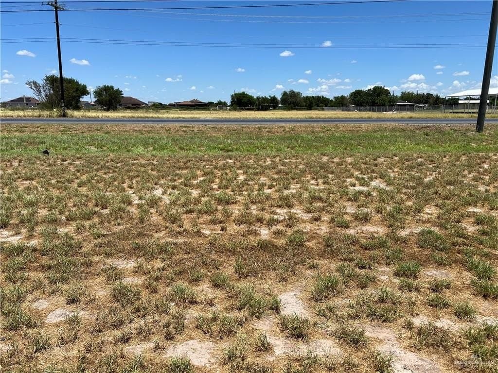 0.24 acres in Hidalgo County - photo 2