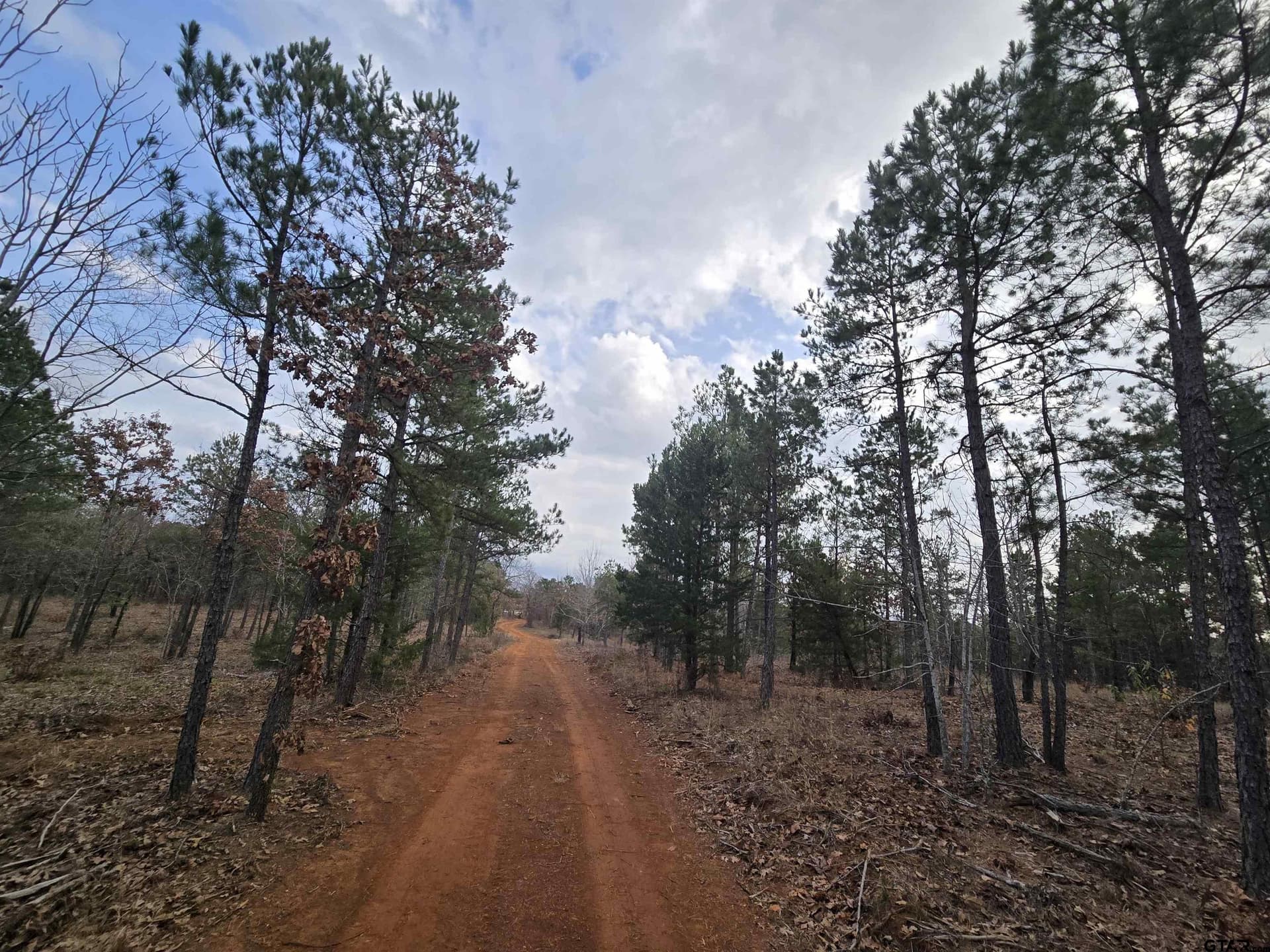 15 acres in Smith County gallery image 2