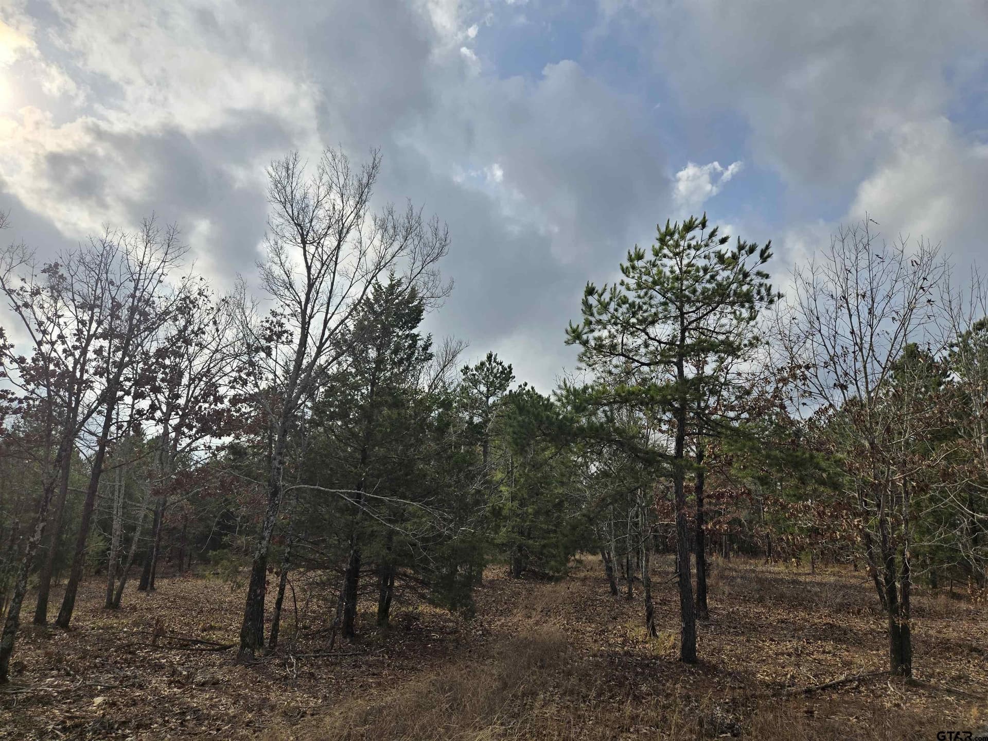 15 acres in Smith County featured view