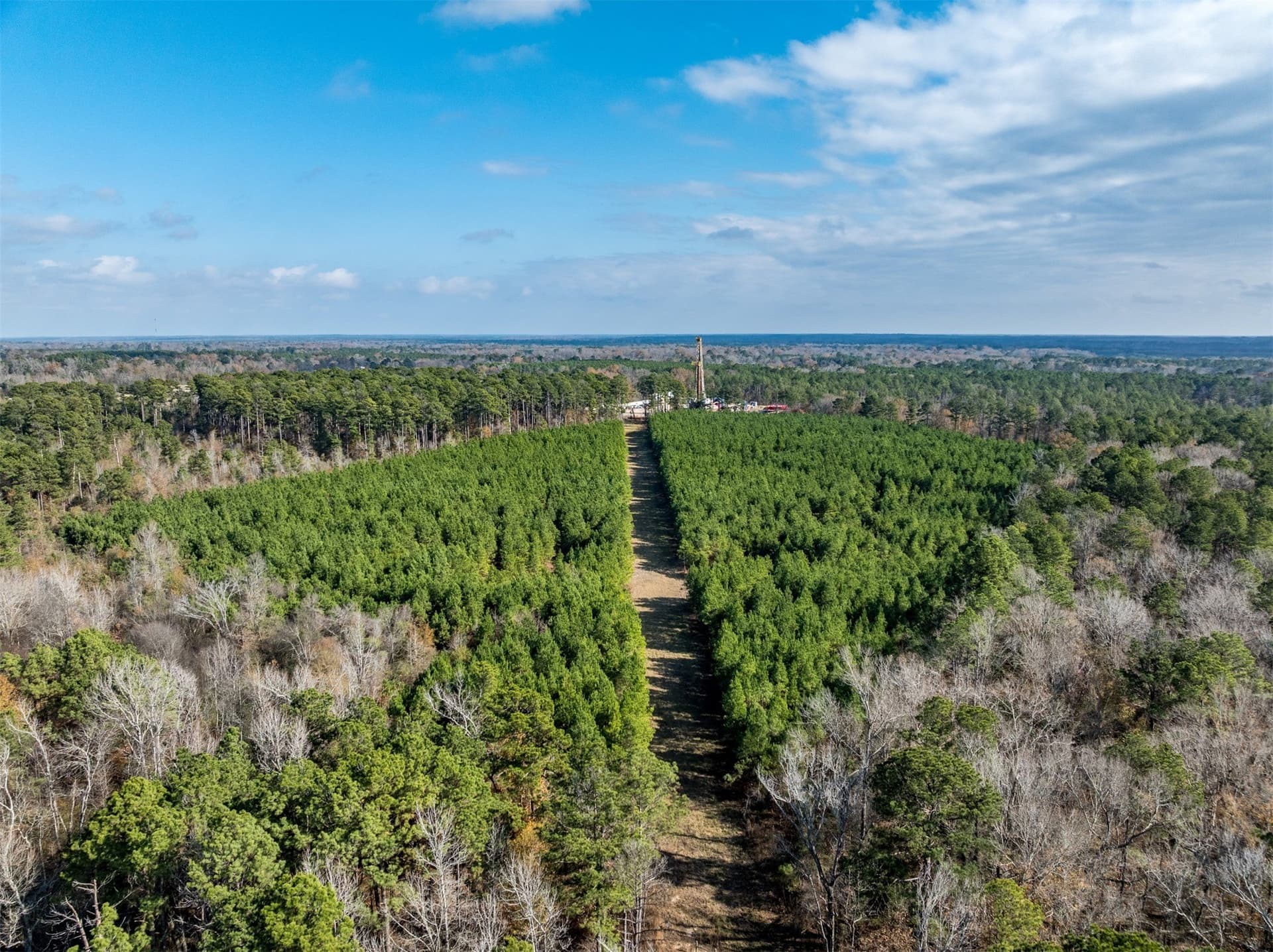 74.6 acres in Harrison County - photo 4