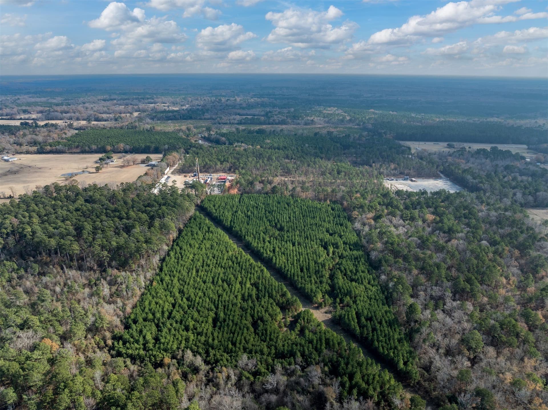 74.6 acres in Harrison County - photo 2