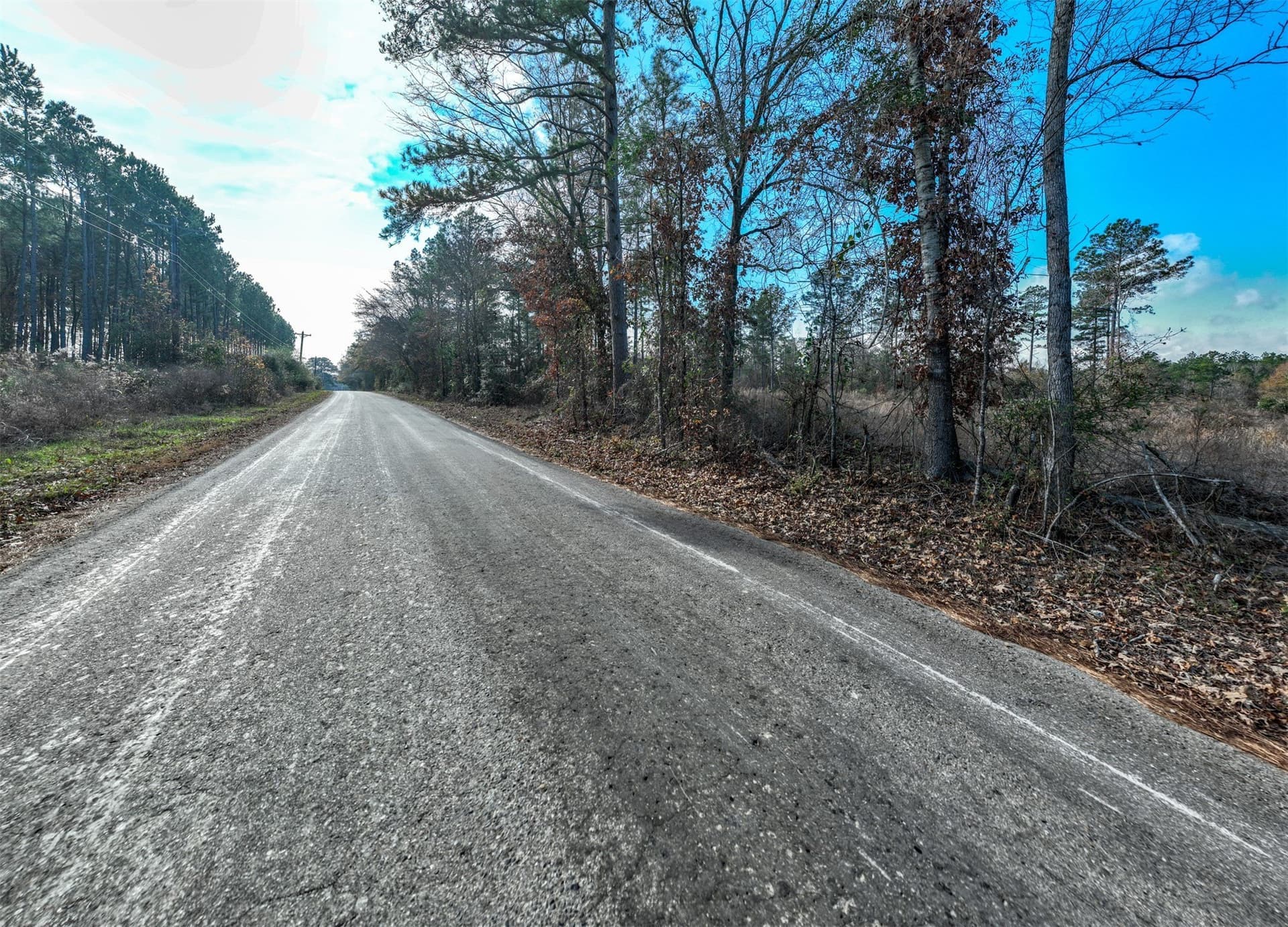 74.6 acres in Harrison County - photo 9